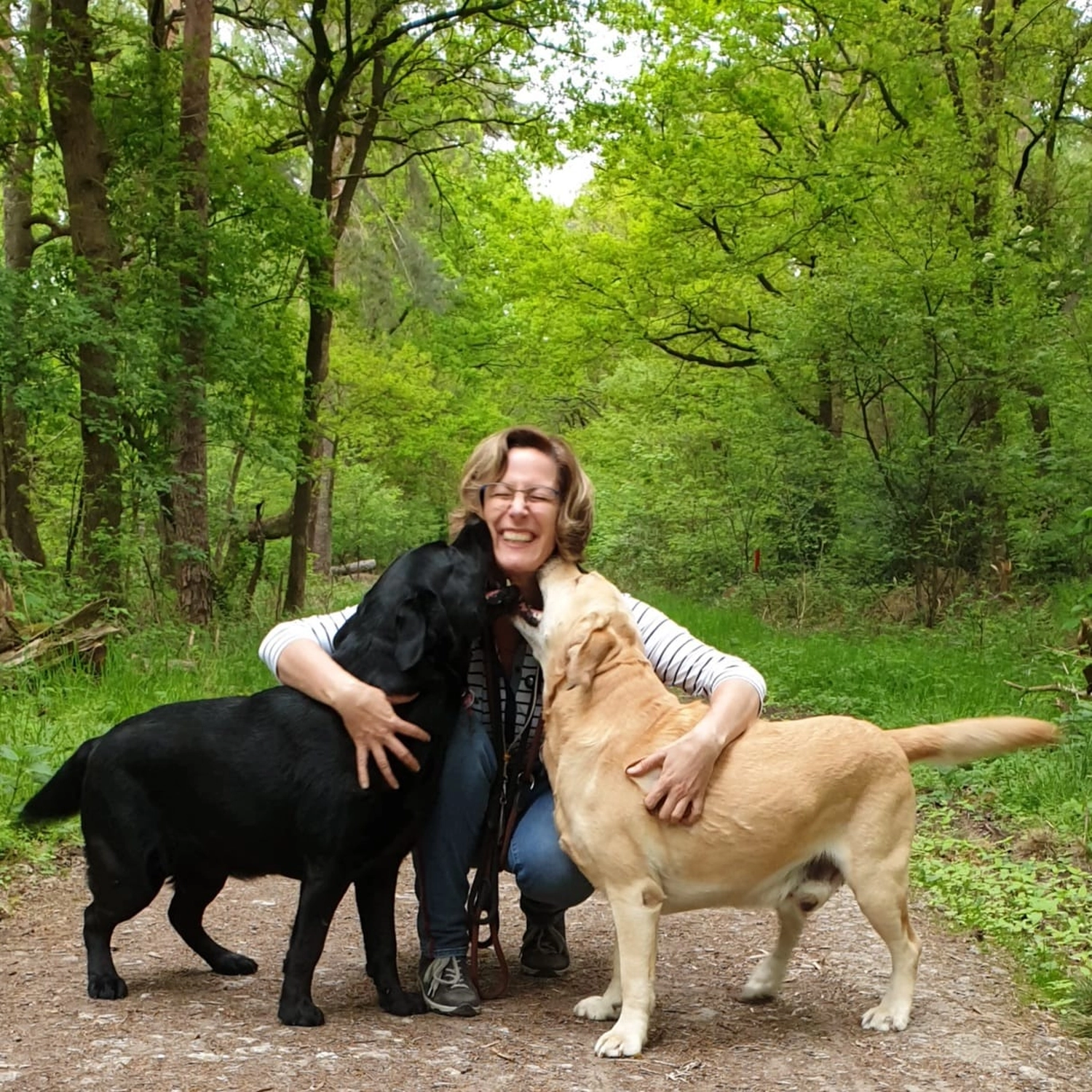 HundeHarmonie - Tanja Kring