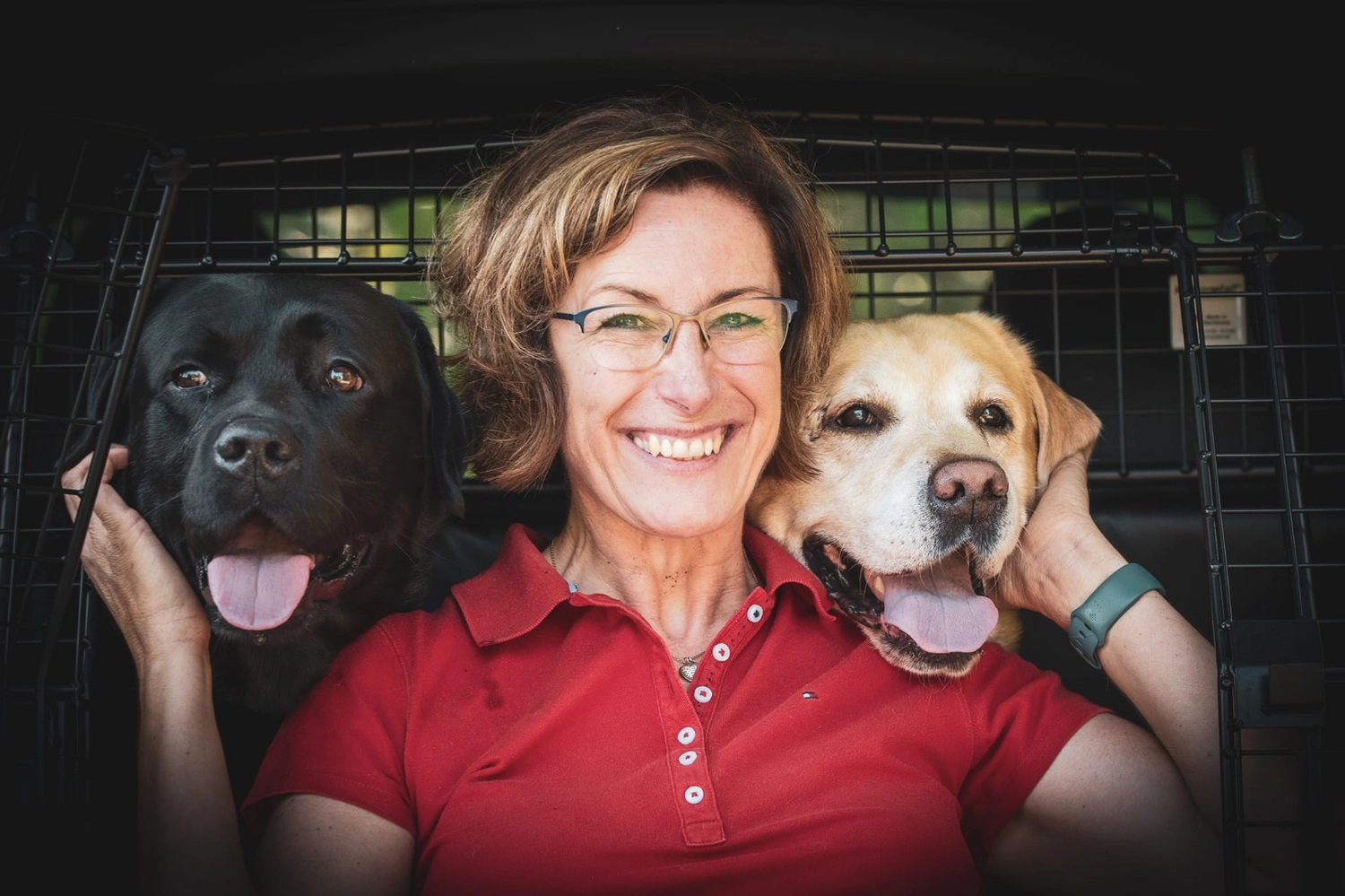 HundeHarmonie - Tanja Kring