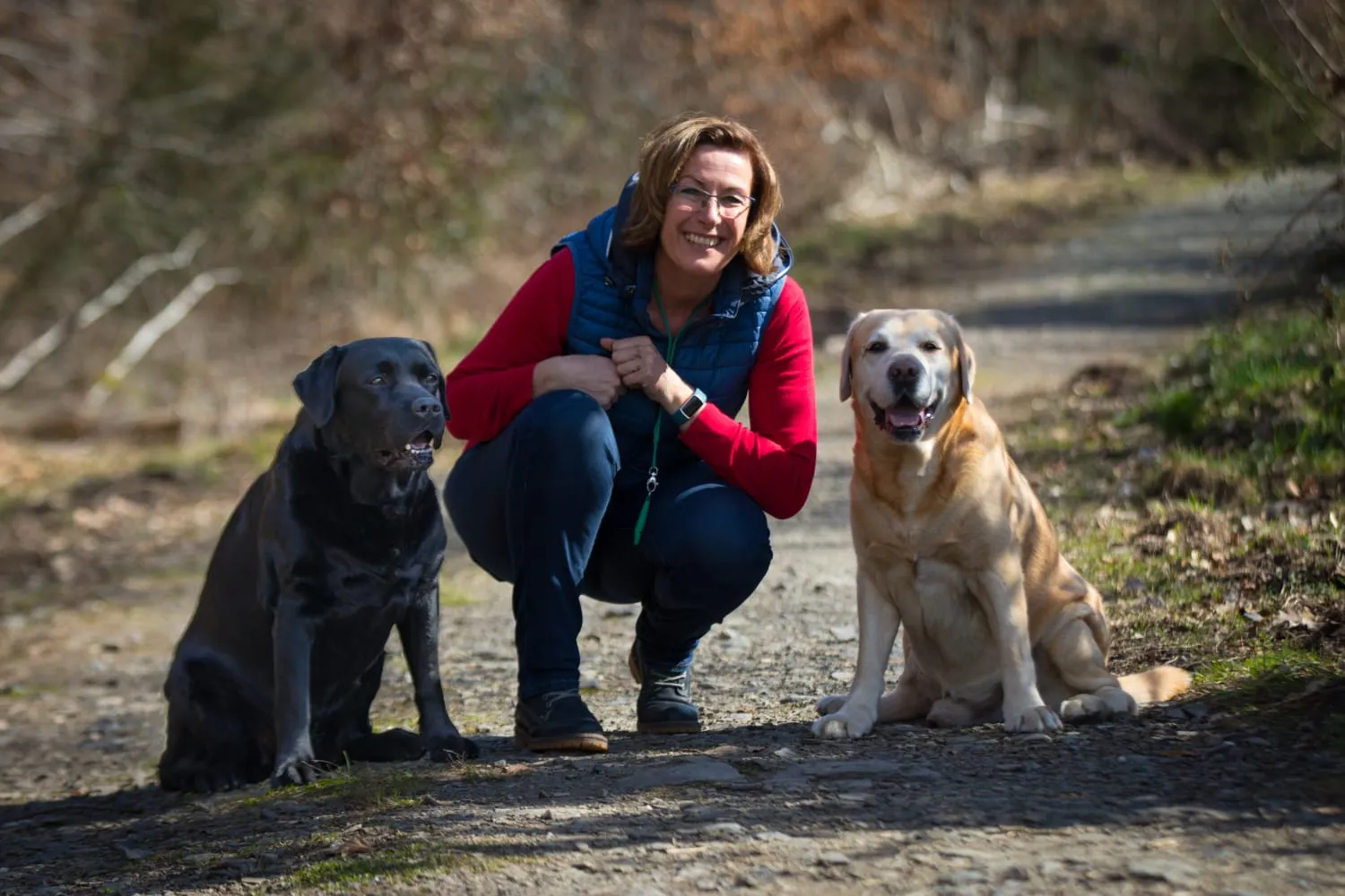 HundeHarmonie - Tanja Kring