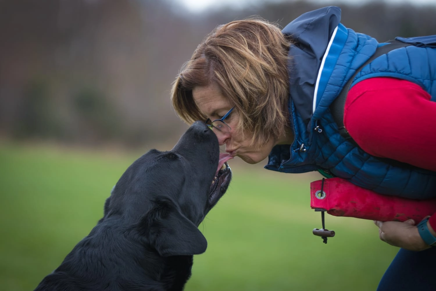 HundeHarmonie - Hundetraining - Hund